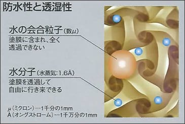 透湿性試験